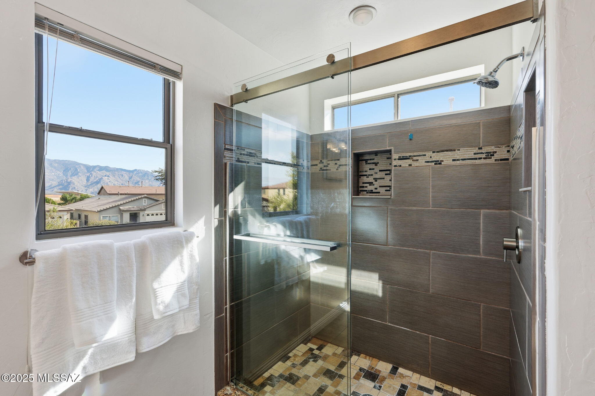 13047 N Desert Olive Drive