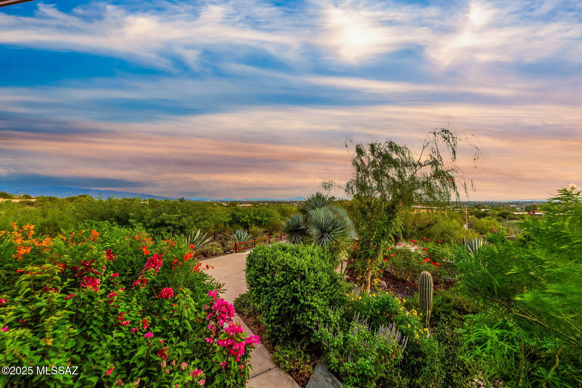 4368 N Camino Colibri