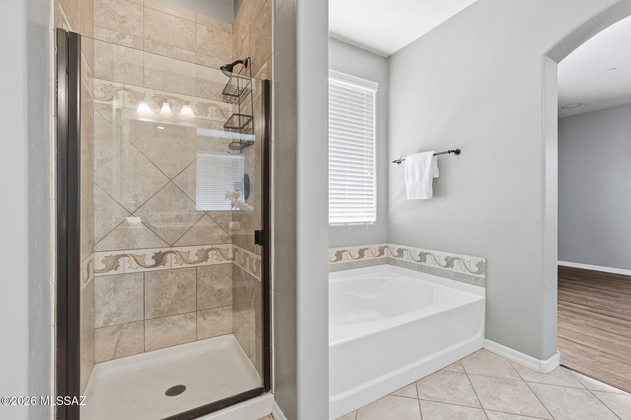 12507 N Paseo Penuela