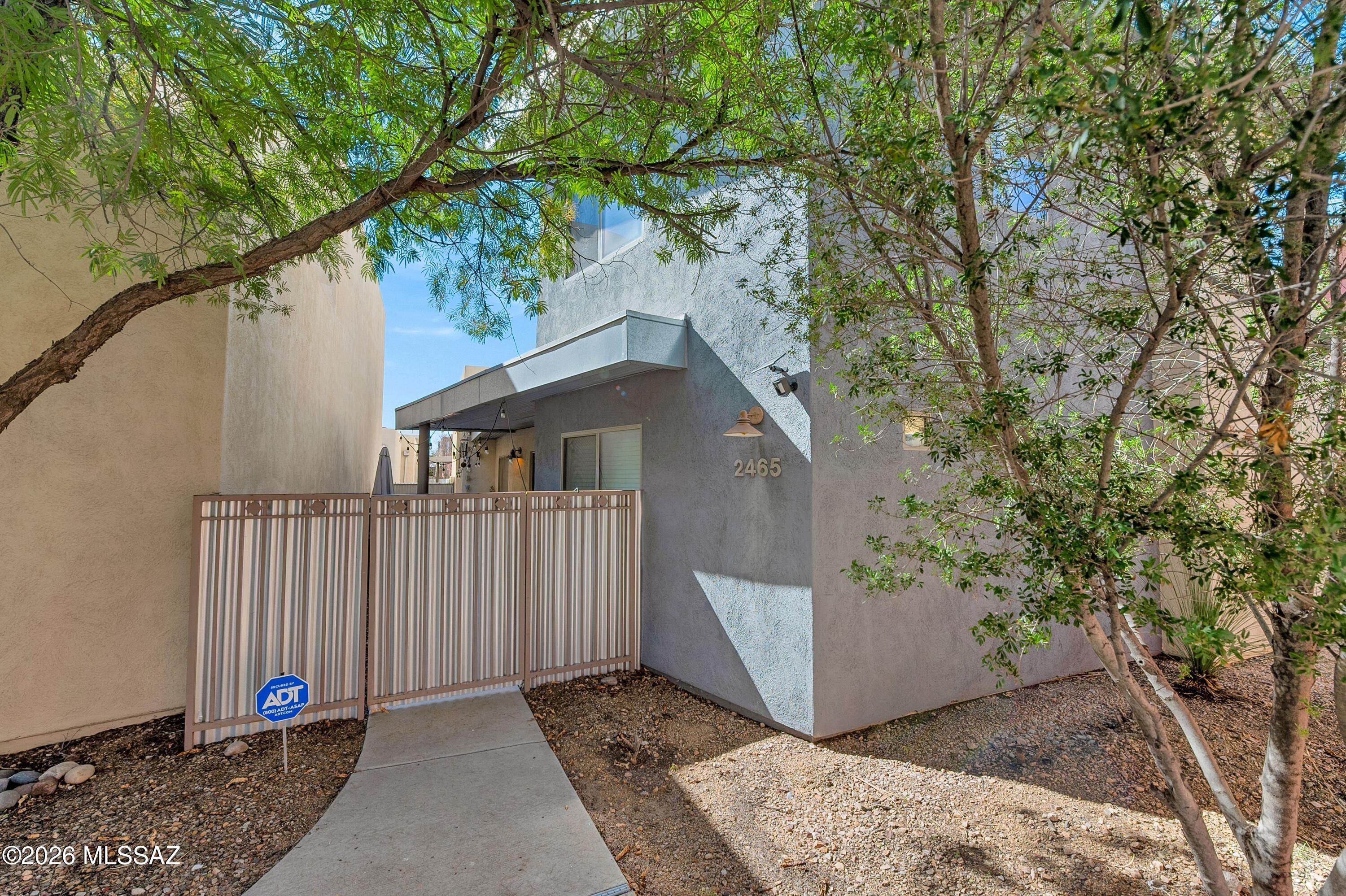 2465 N Silver Mosaic Drive