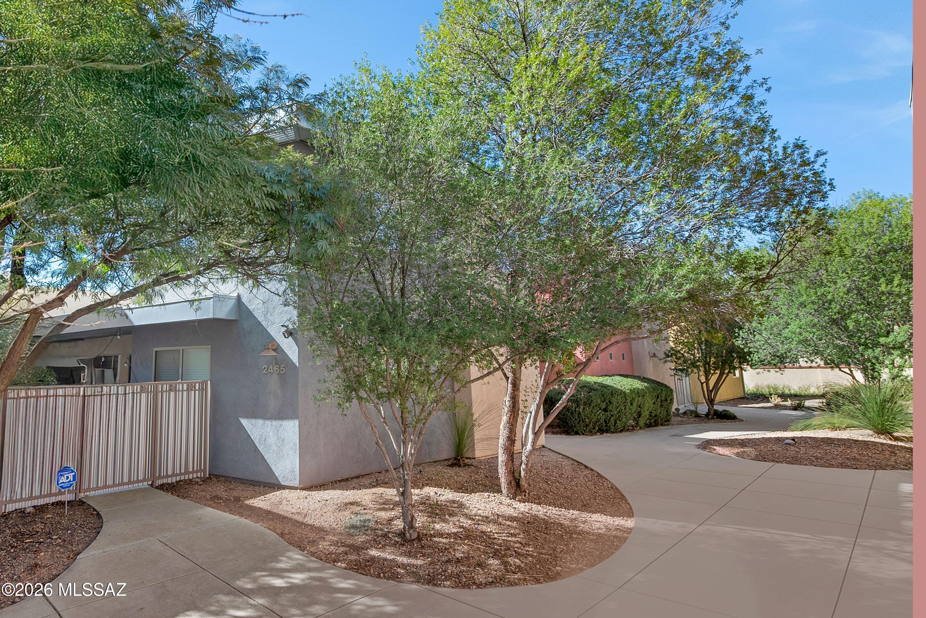 2465 N Silver Mosaic Drive