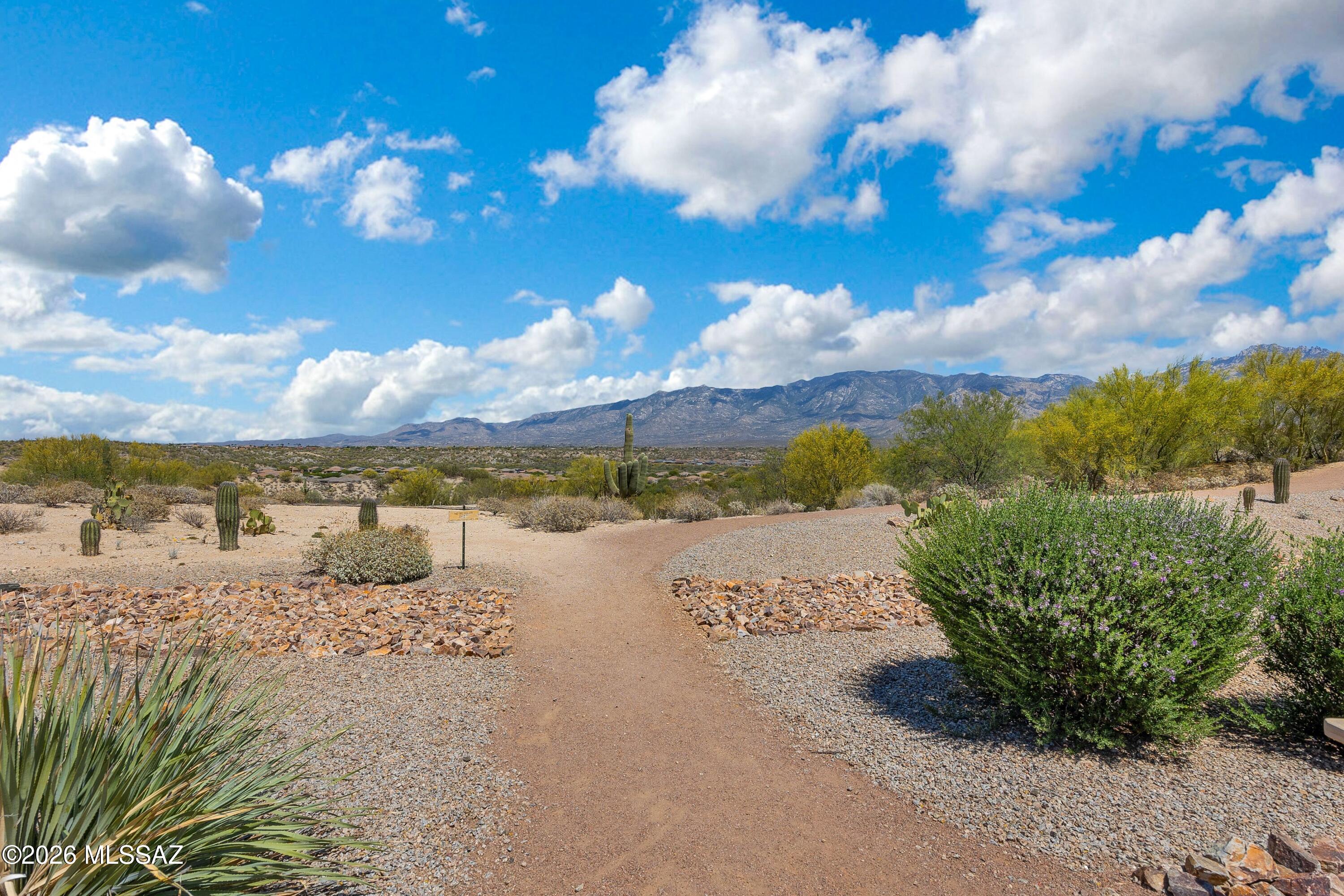 13241 Chiracahua Peak Drive