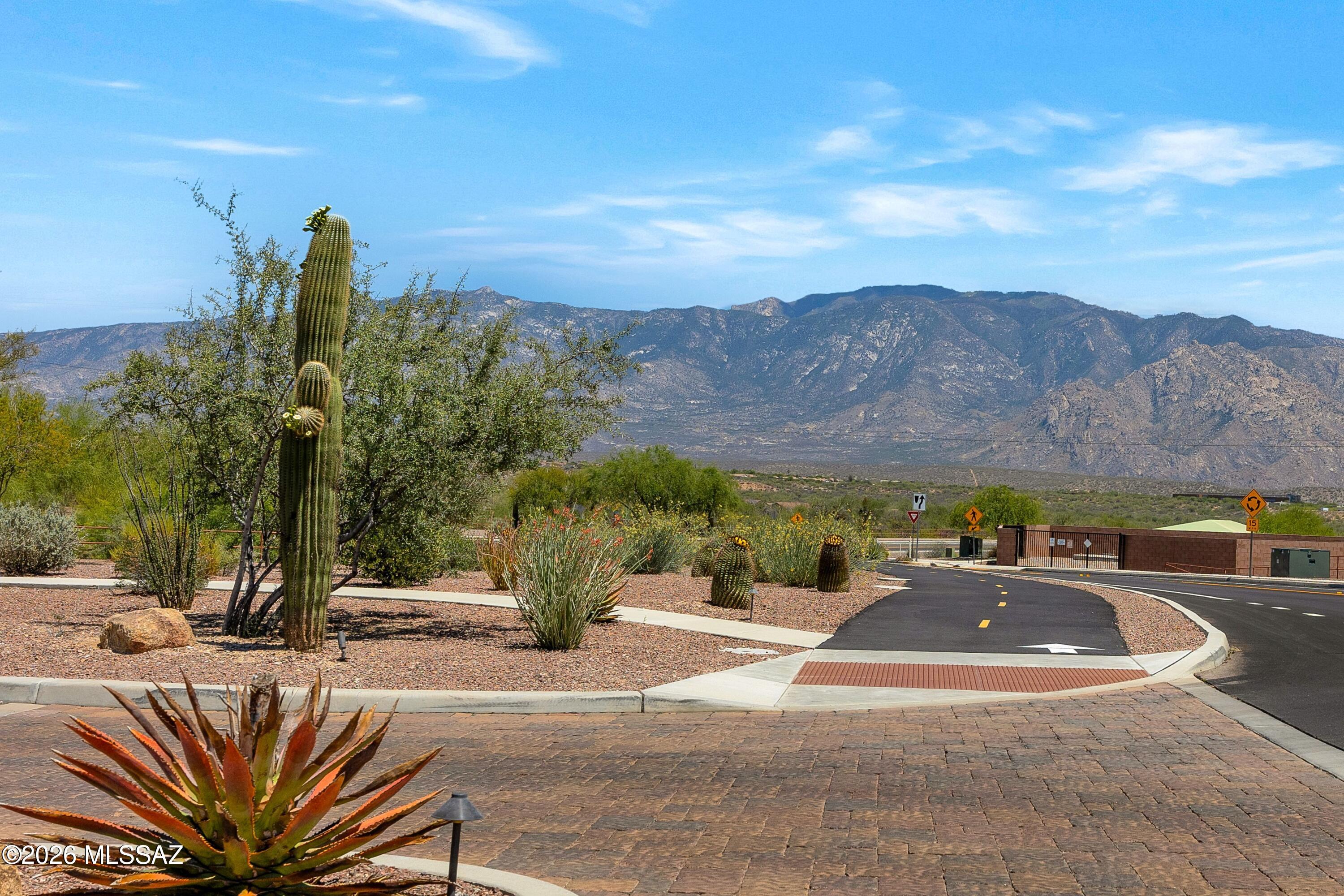13477 N Mariposa Lily Drive