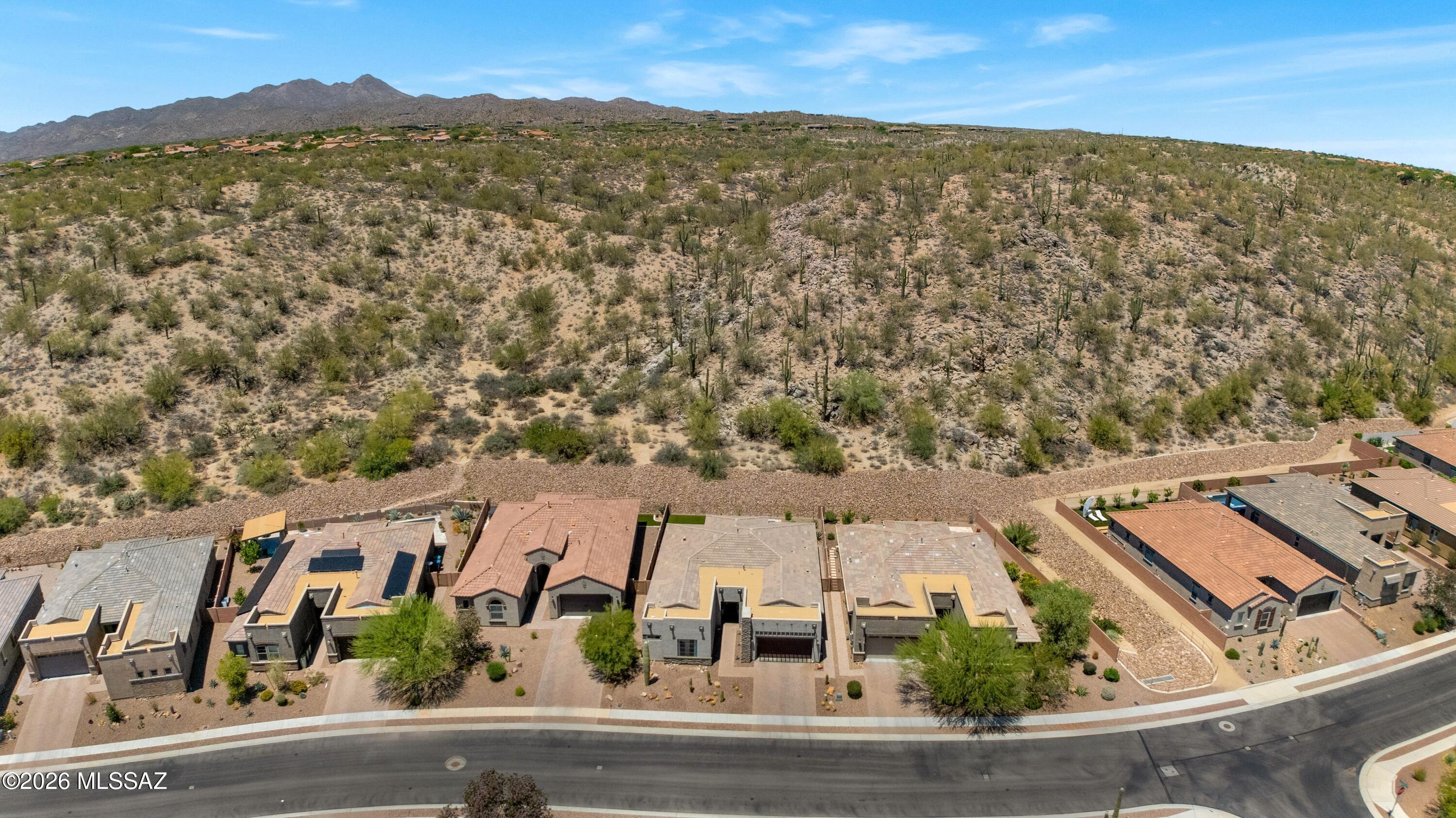 13477 N Mariposa Lily Drive