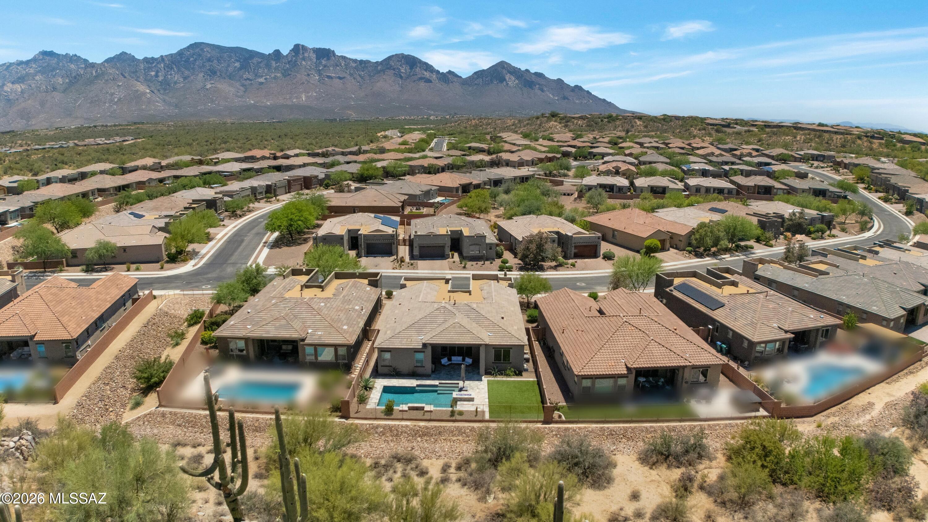 13477 N Mariposa Lily Drive
