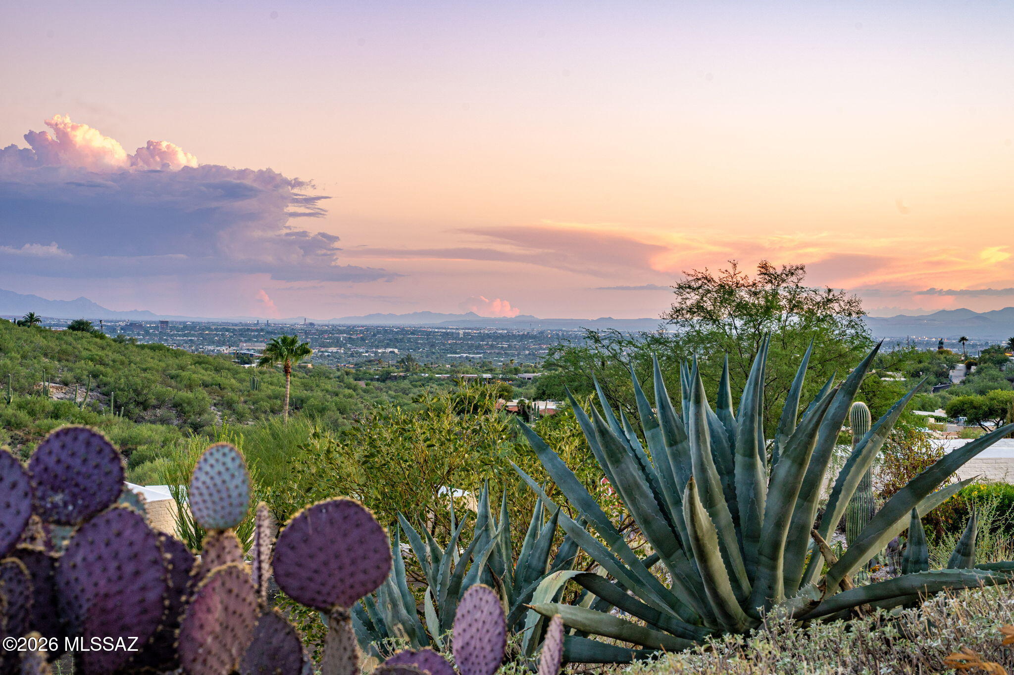 5406 N Camino De Las Brisas