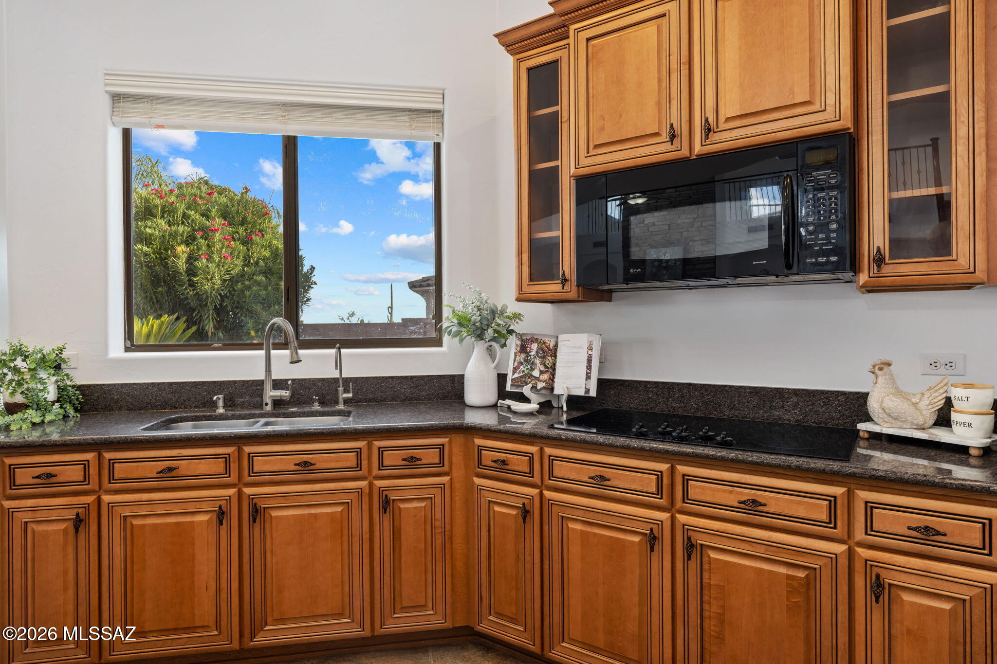 12488 N Paseo Penuela