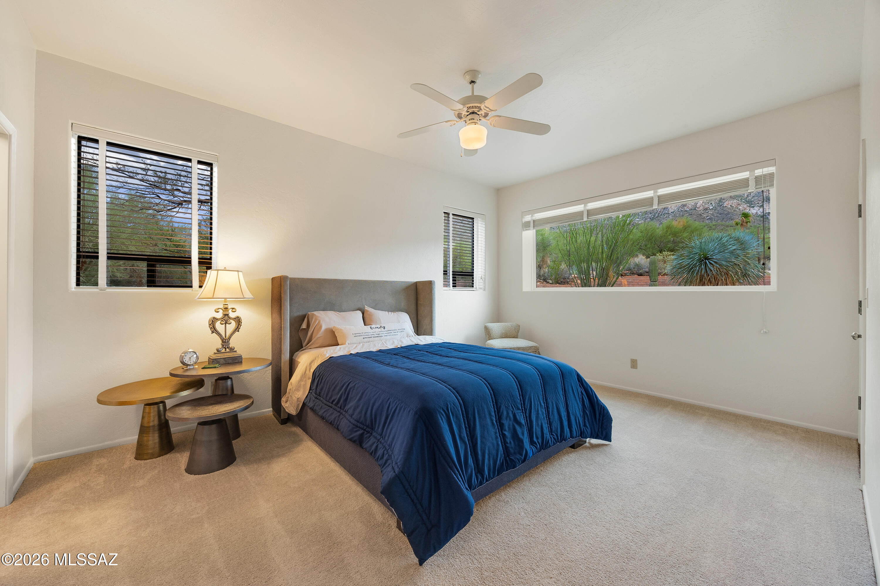 1060 E Canada Vista Place