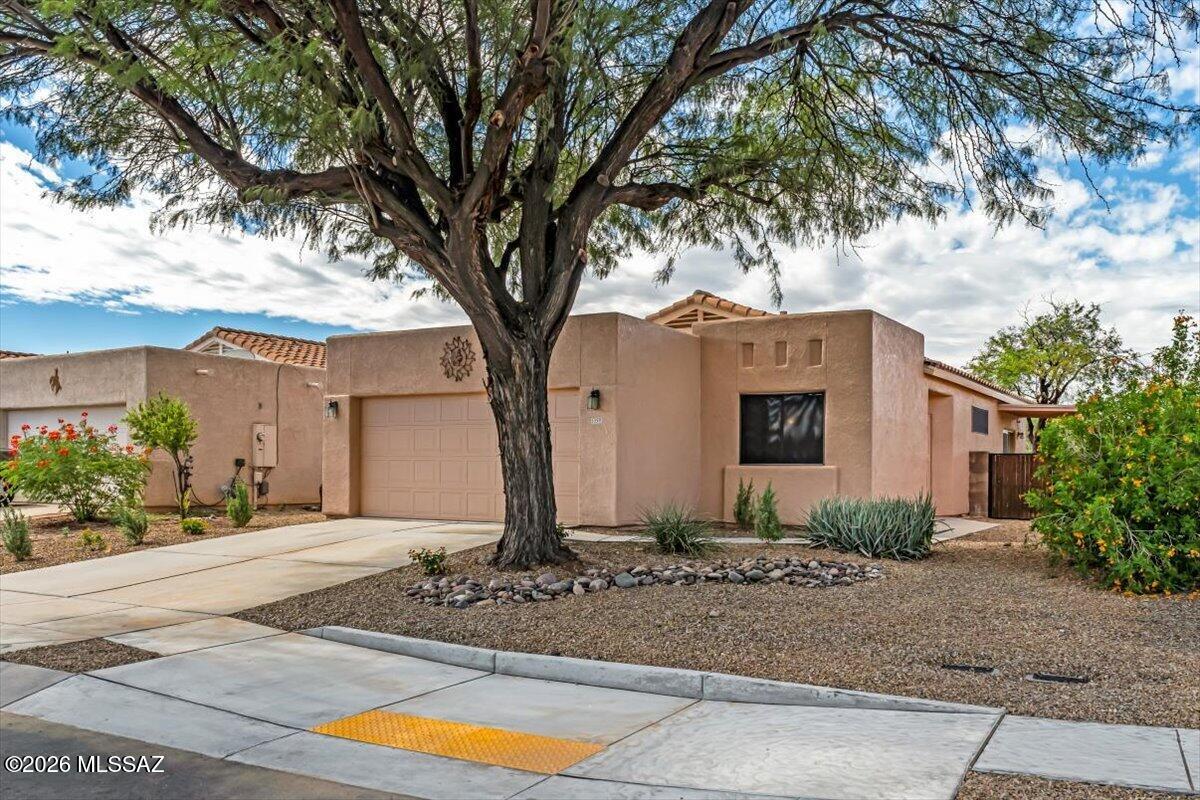 5359 N Willow Thicket Way