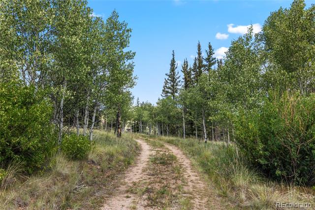 3439 Stagestop Road