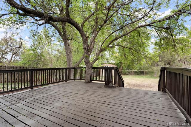 3352 Vivian Drive