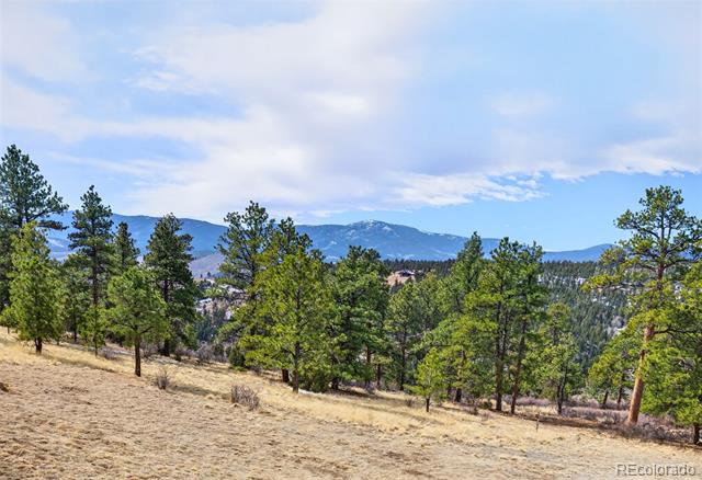 14482 Jubilee Trail