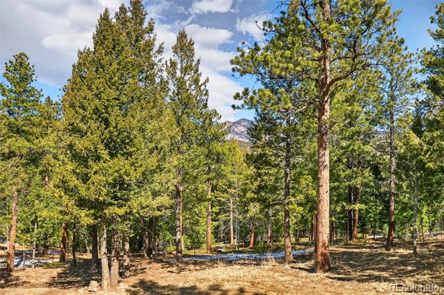 14482 Jubilee Trail