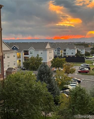 10184 Park Meadows Drive Unit: 1312