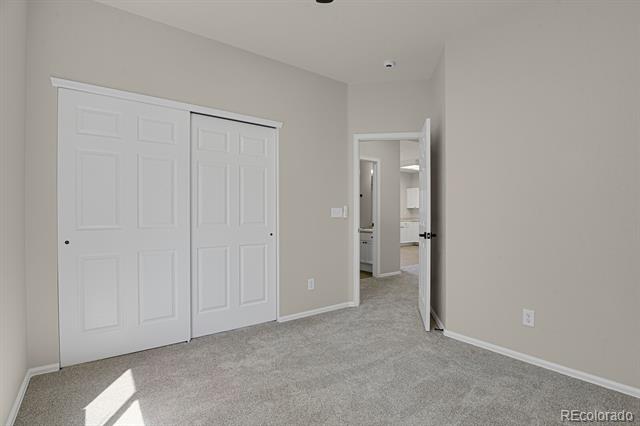 407 Grey Swallow Street