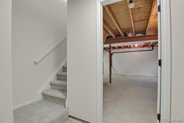 407 Grey Swallow Street