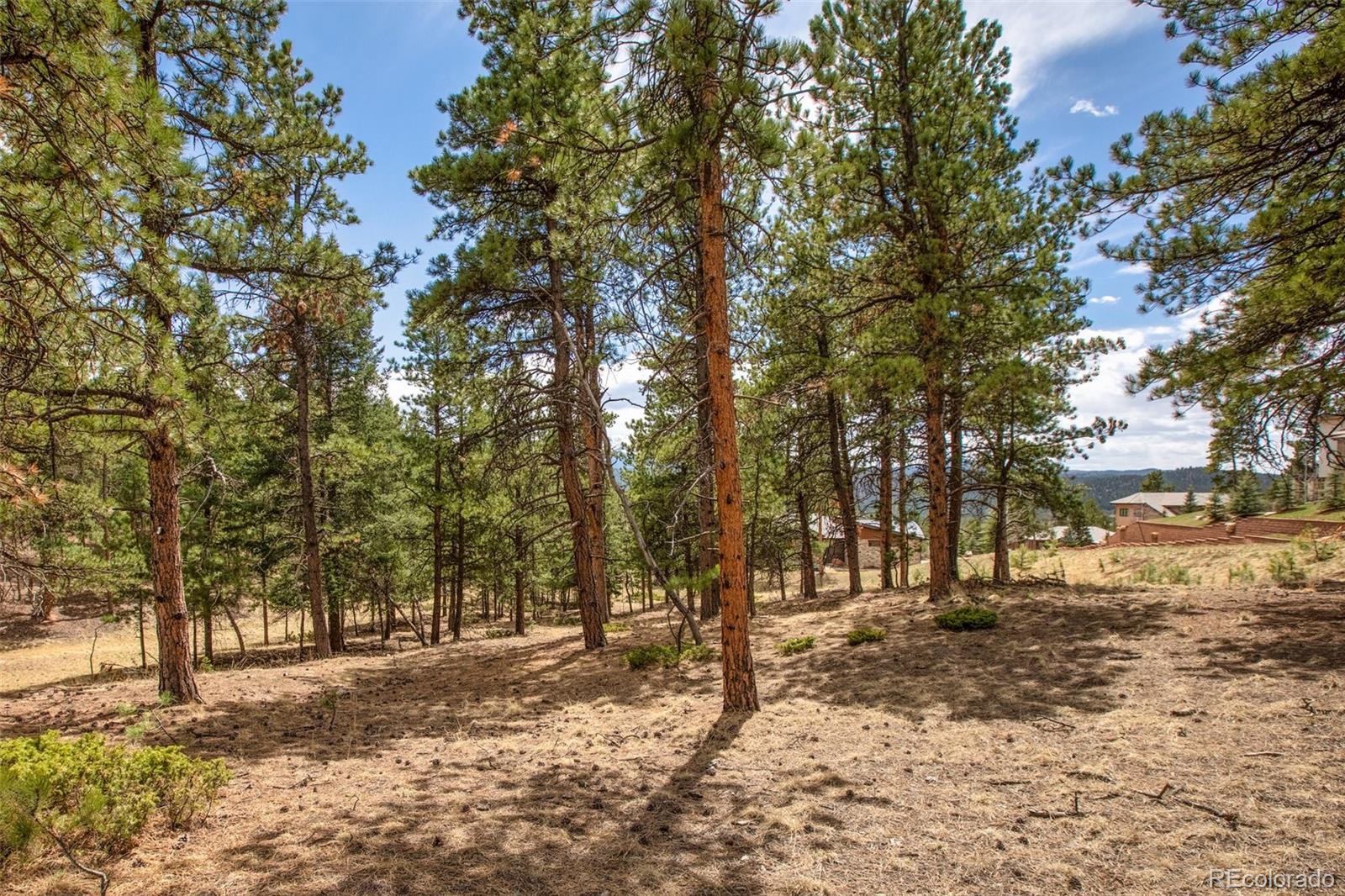 271 Thunder Ridge