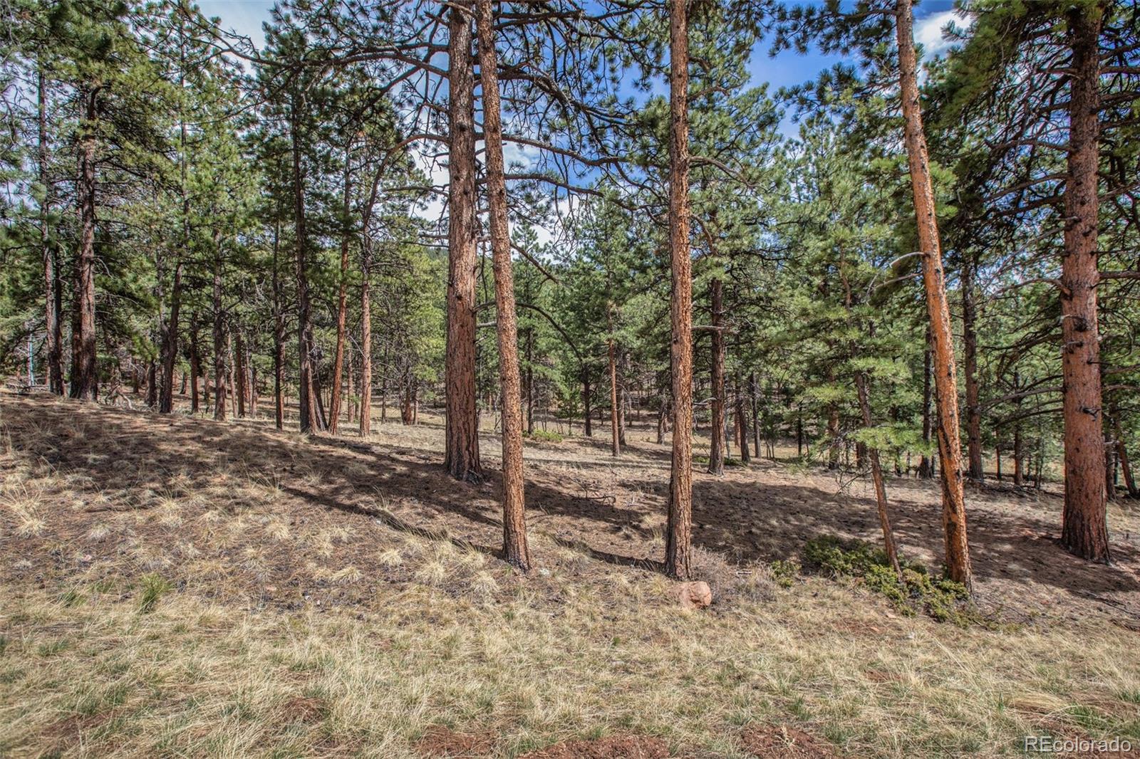271 Thunder Ridge