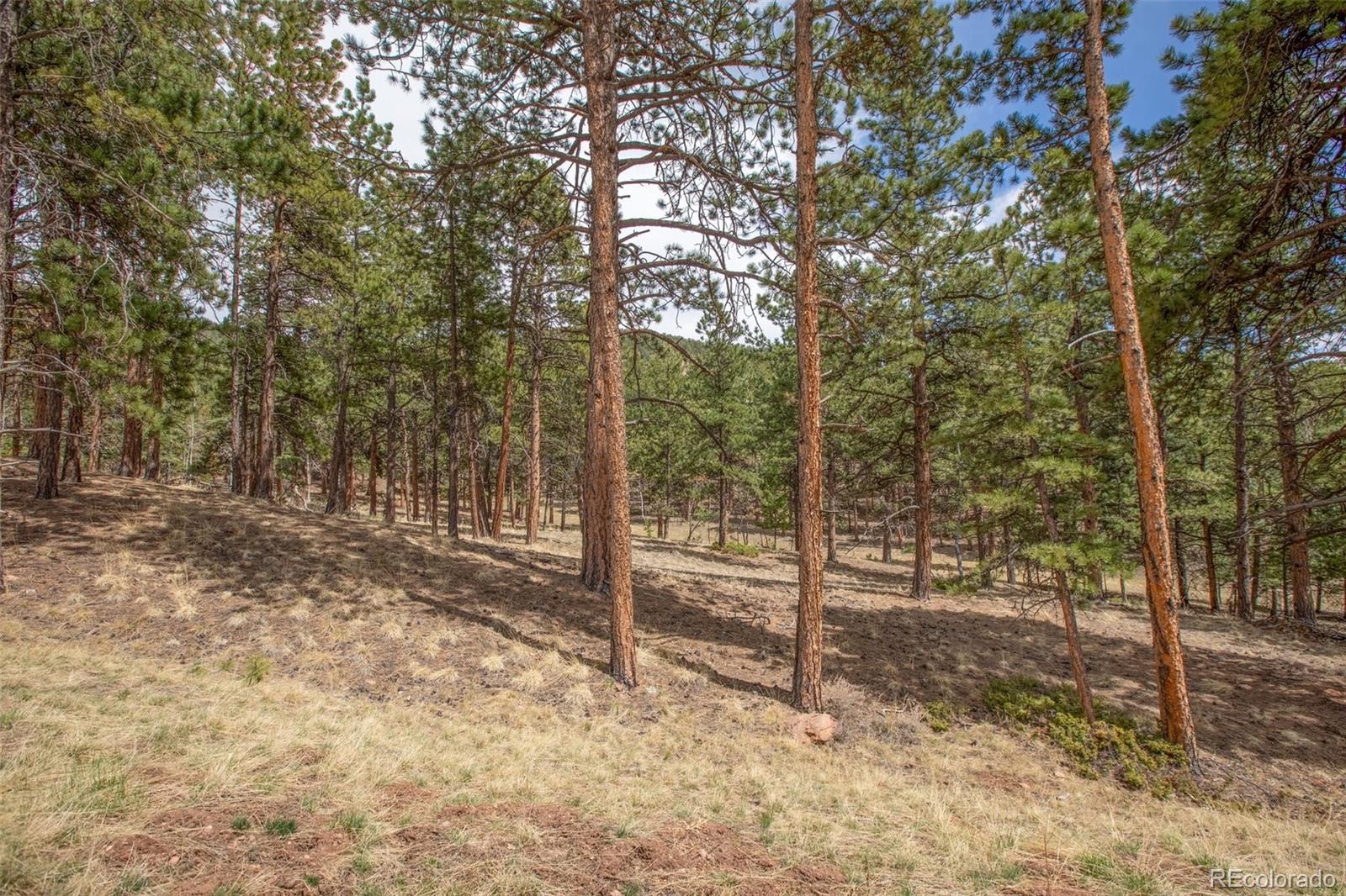 271 Thunder Ridge