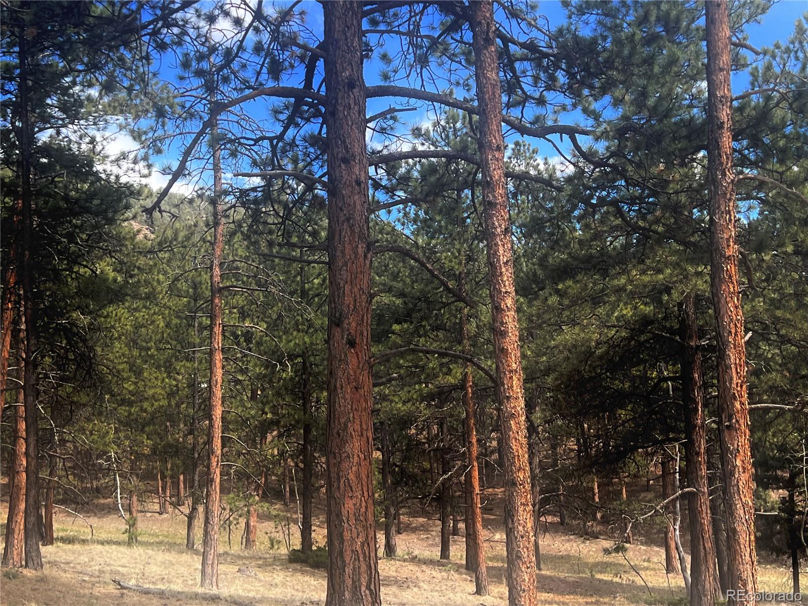 271 Thunder Ridge