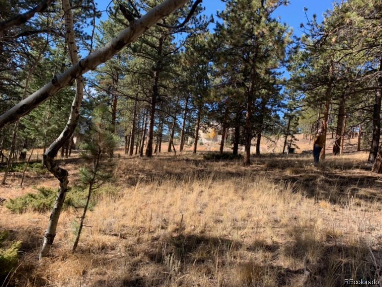 271 Thunder Ridge