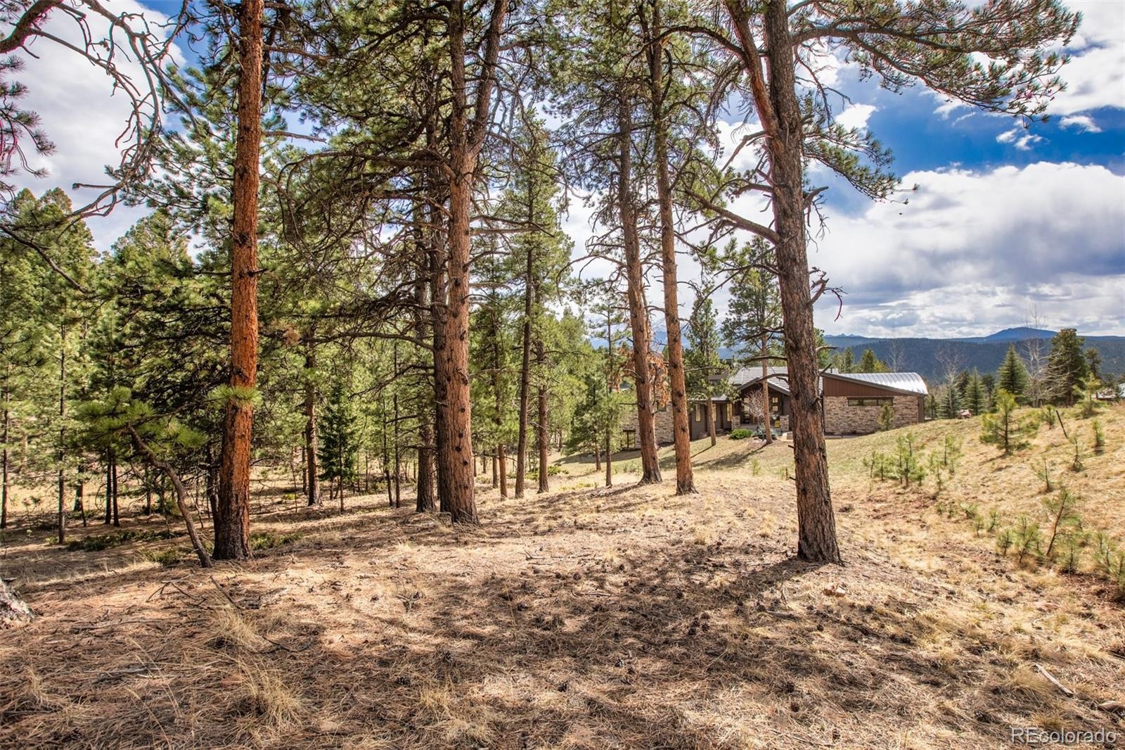 271 Thunder Ridge
