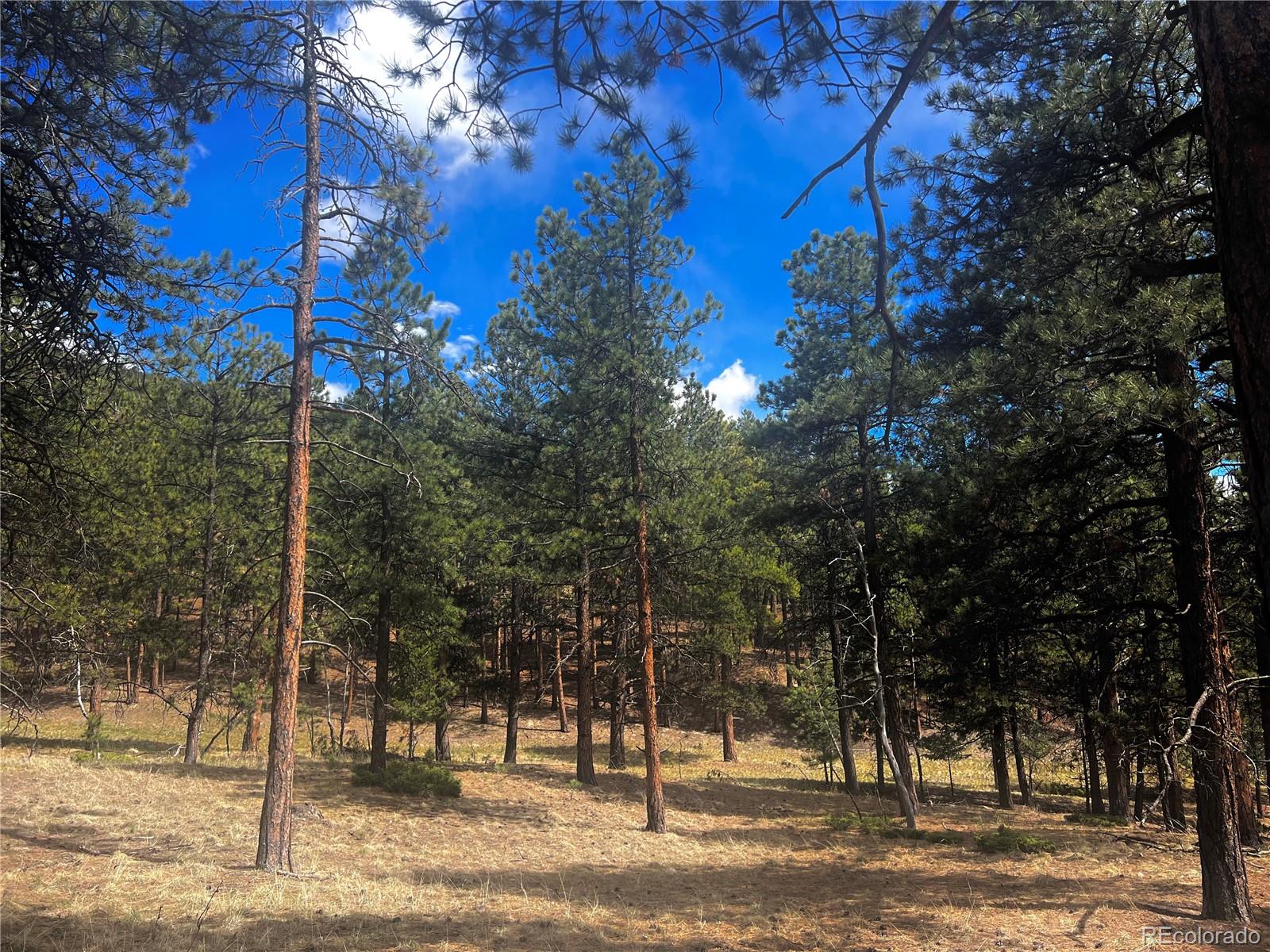 271 Thunder Ridge