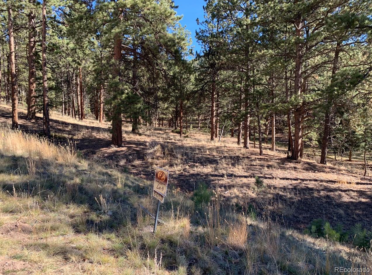 271 Thunder Ridge
