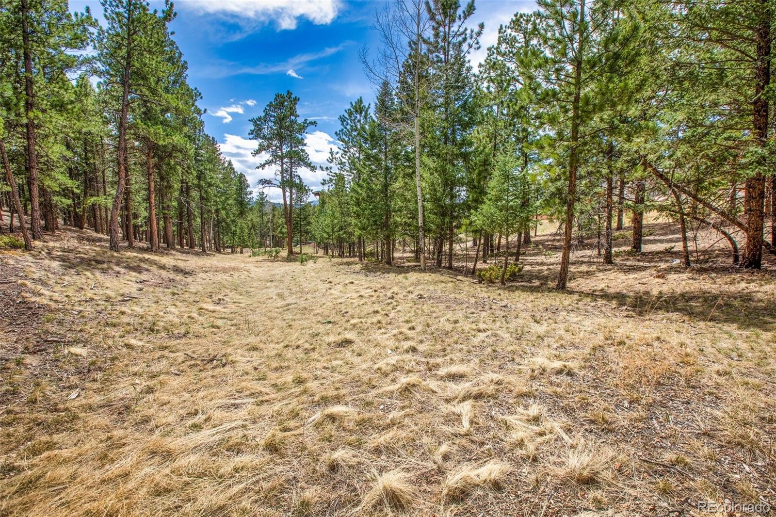 271 Thunder Ridge