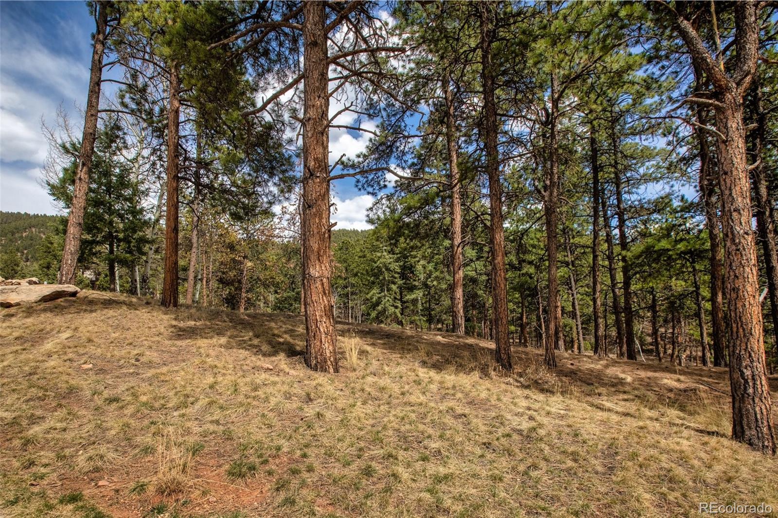271 Thunder Ridge