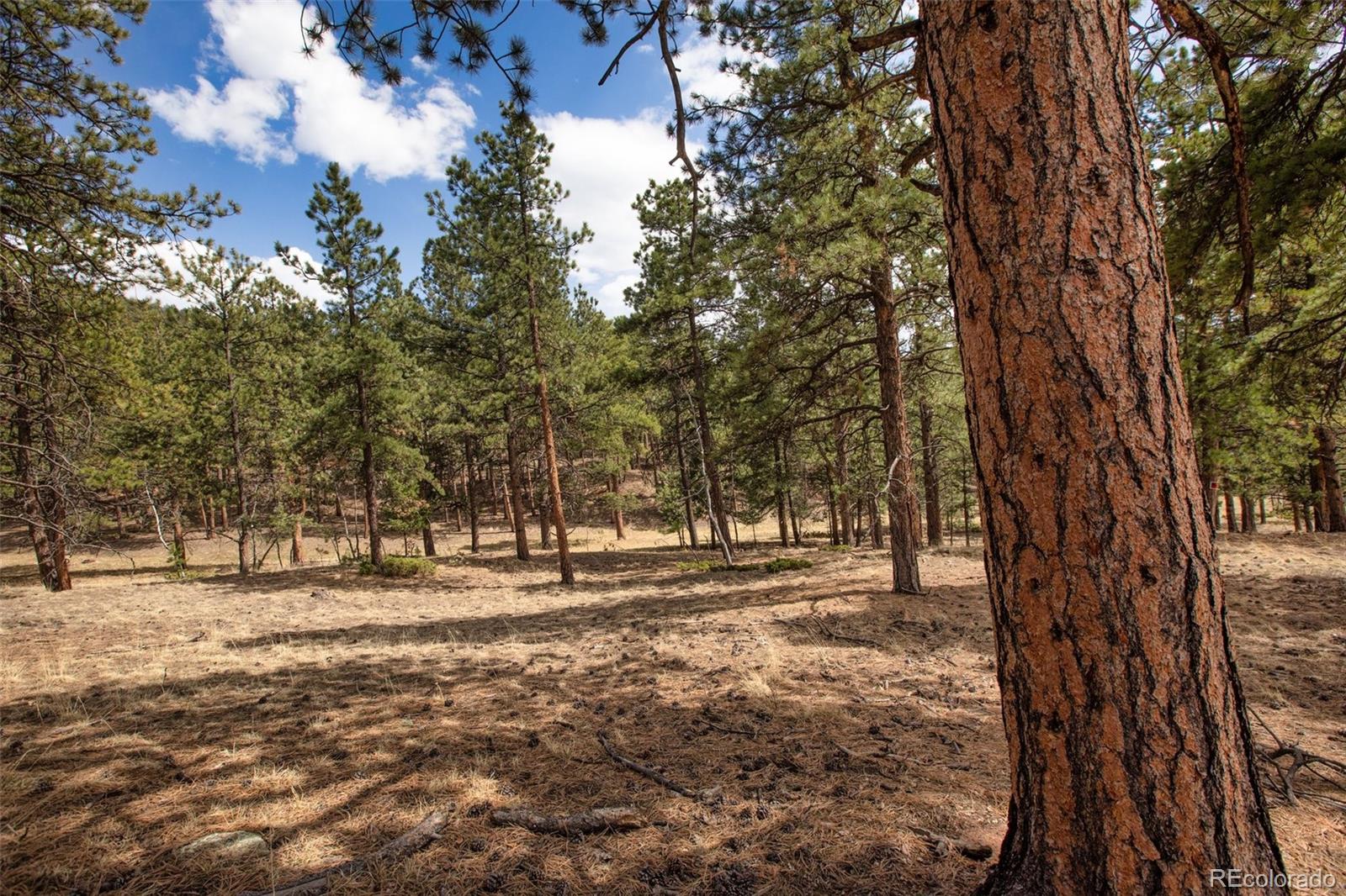 271 Thunder Ridge