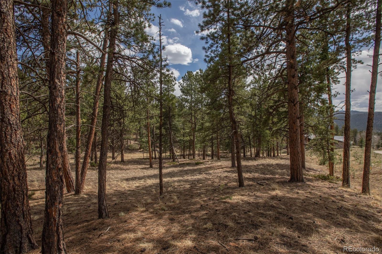 271 Thunder Ridge
