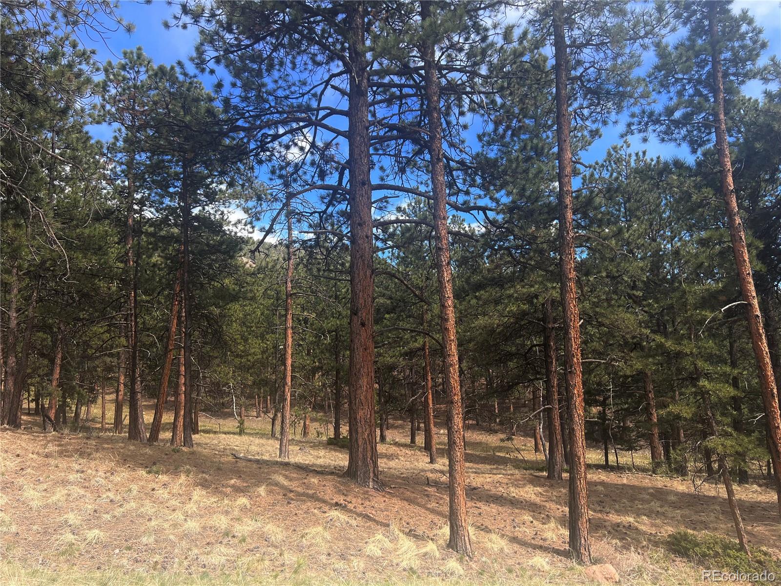 271 Thunder Ridge