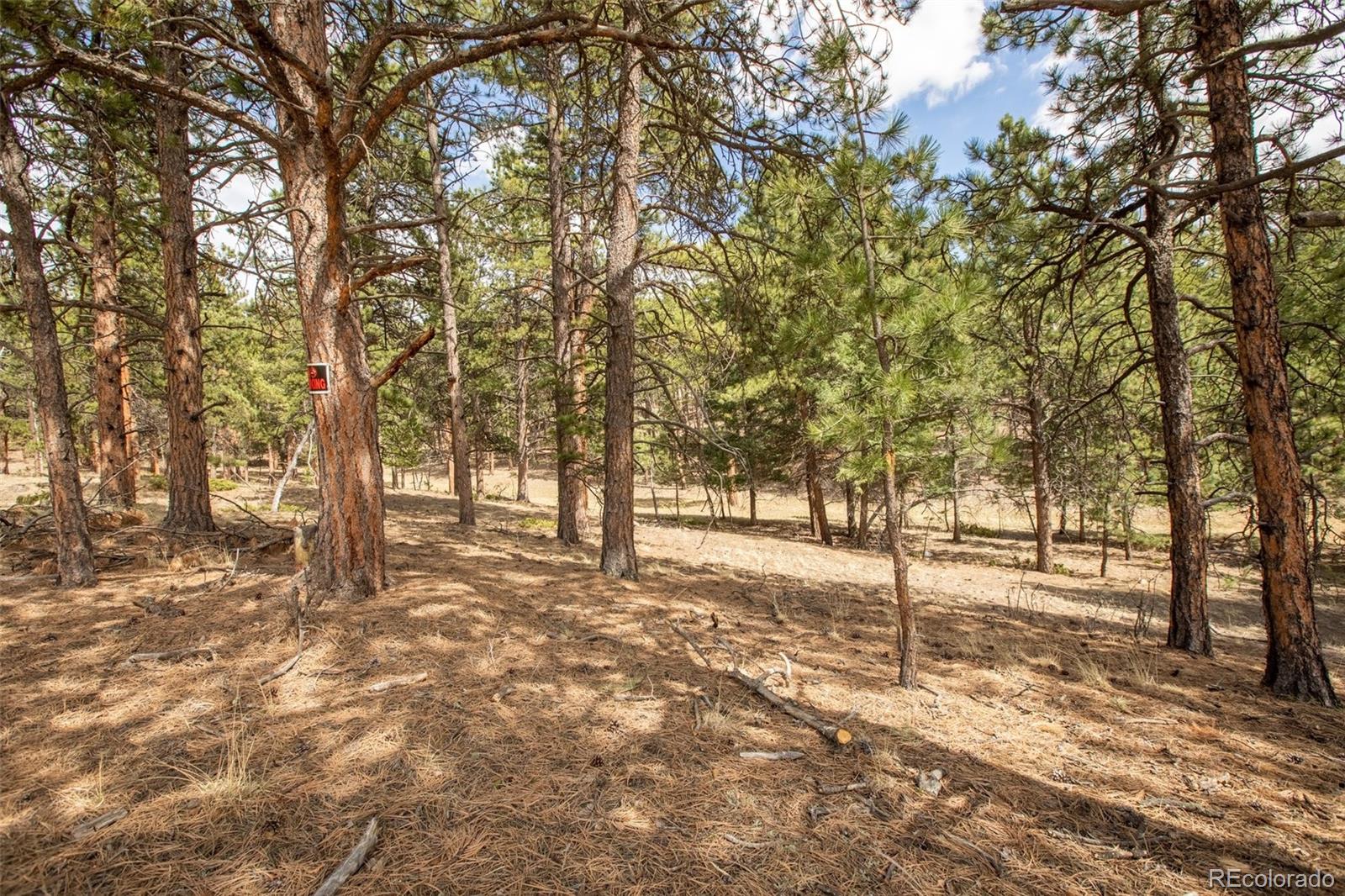 271 Thunder Ridge