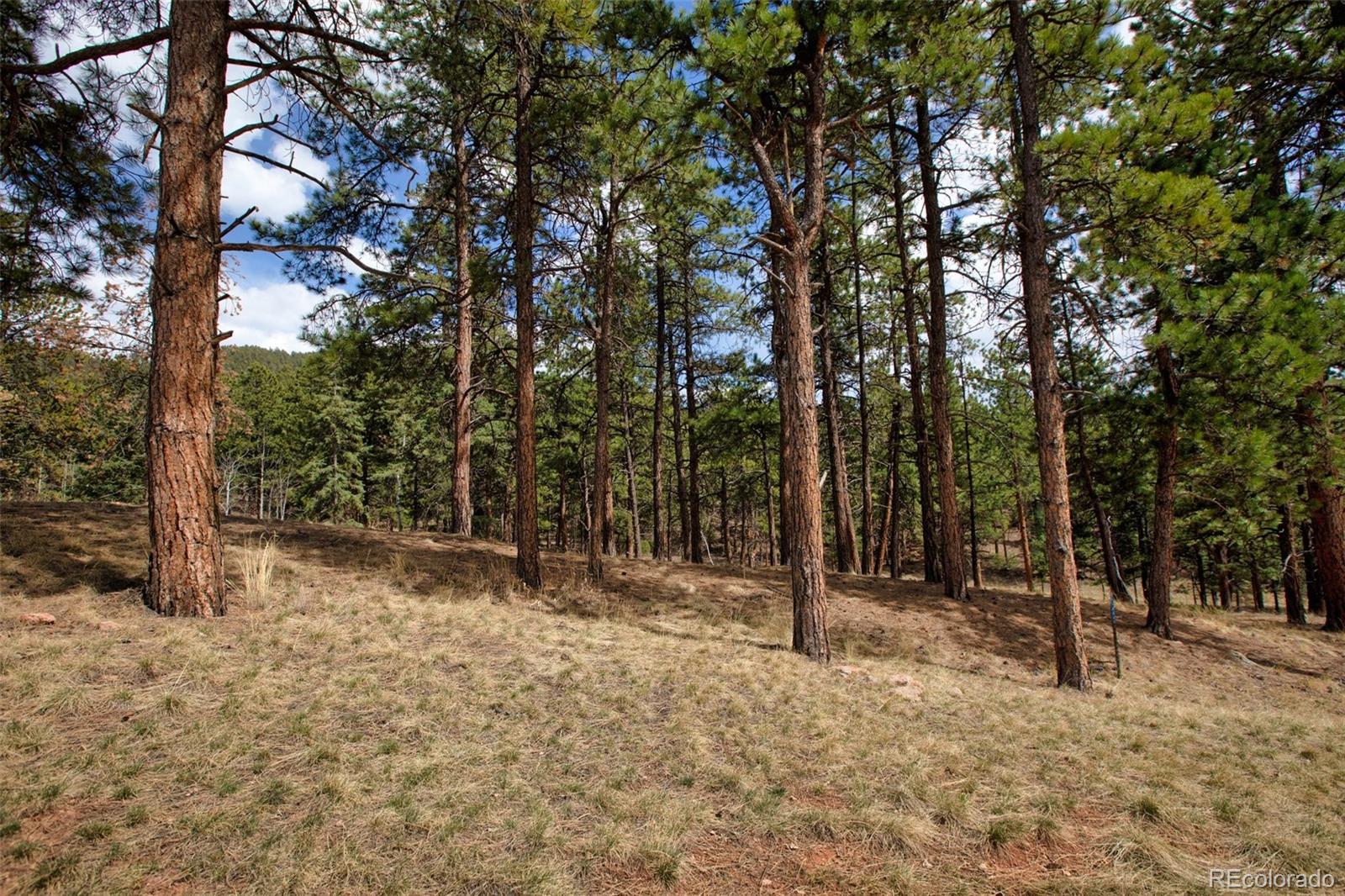271 Thunder Ridge