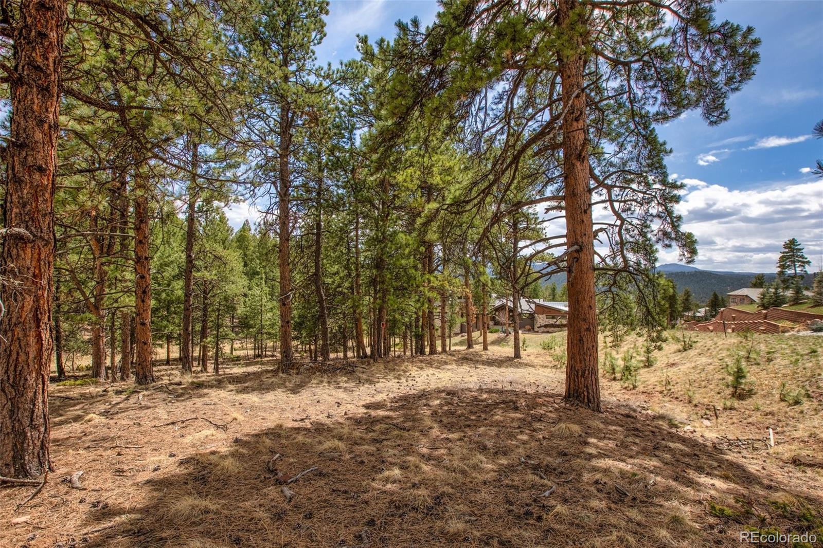 271 Thunder Ridge
