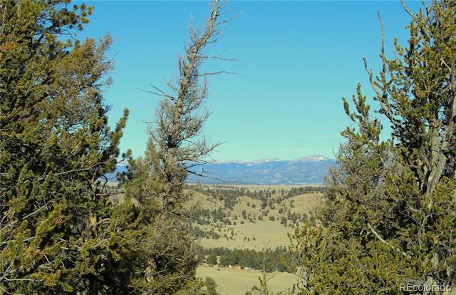 Lot 41 Willow Street