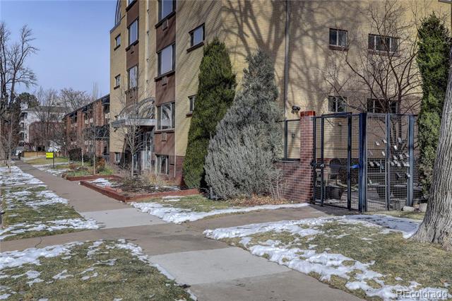 10 N Ogden Street Unit: 204