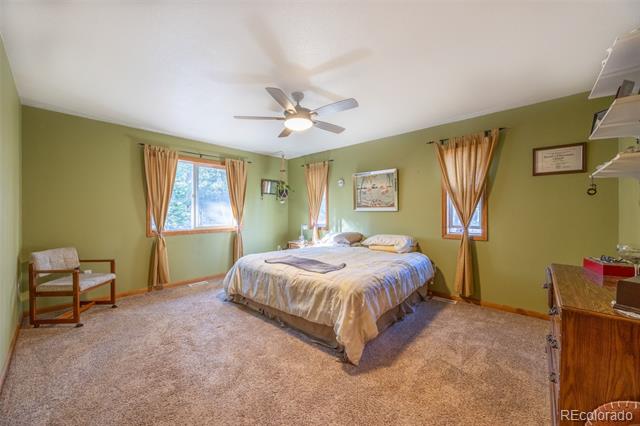 493 Caesar Road
