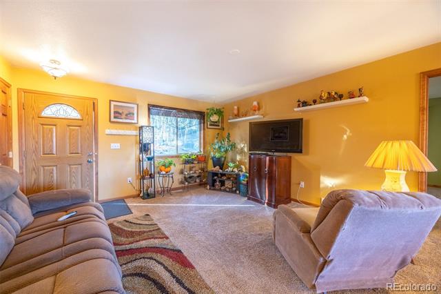 493 Caesar Road
