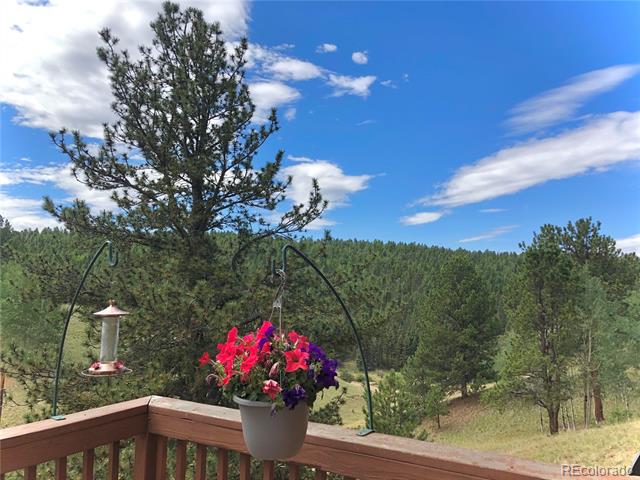 3527 Blue Mesa Drive