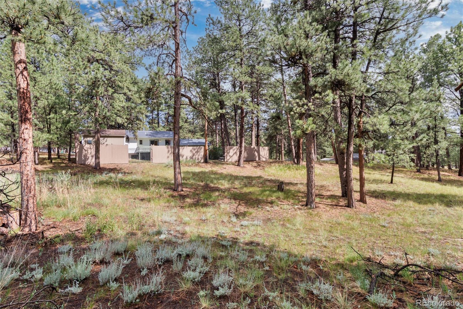 33879 Meadowlark Drive
