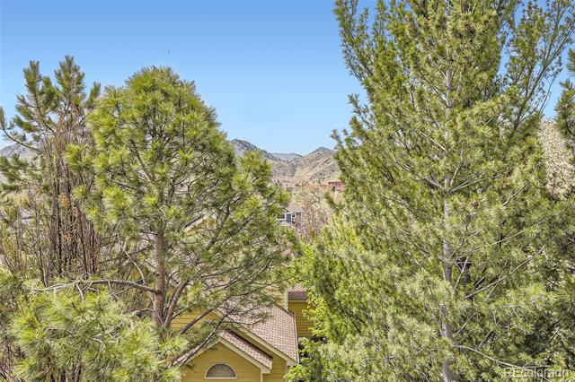 1312 Pine View Road