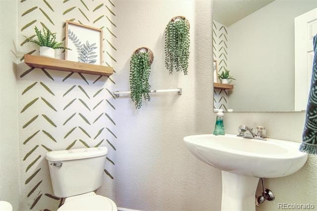 517 Sylvestor Trail