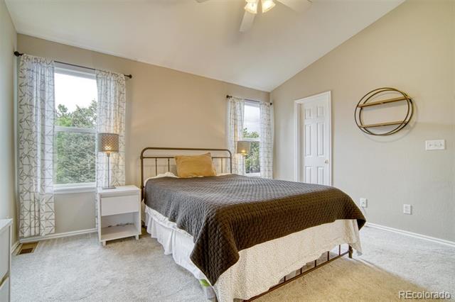 517 Sylvestor Trail