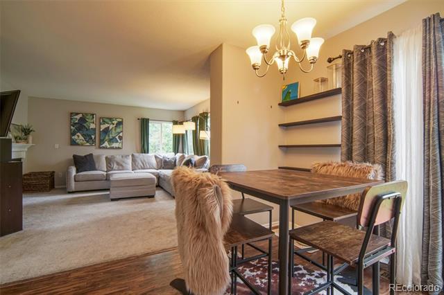 517 Sylvestor Trail