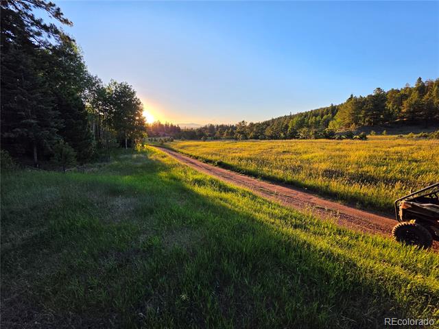 584 Sourdough Road