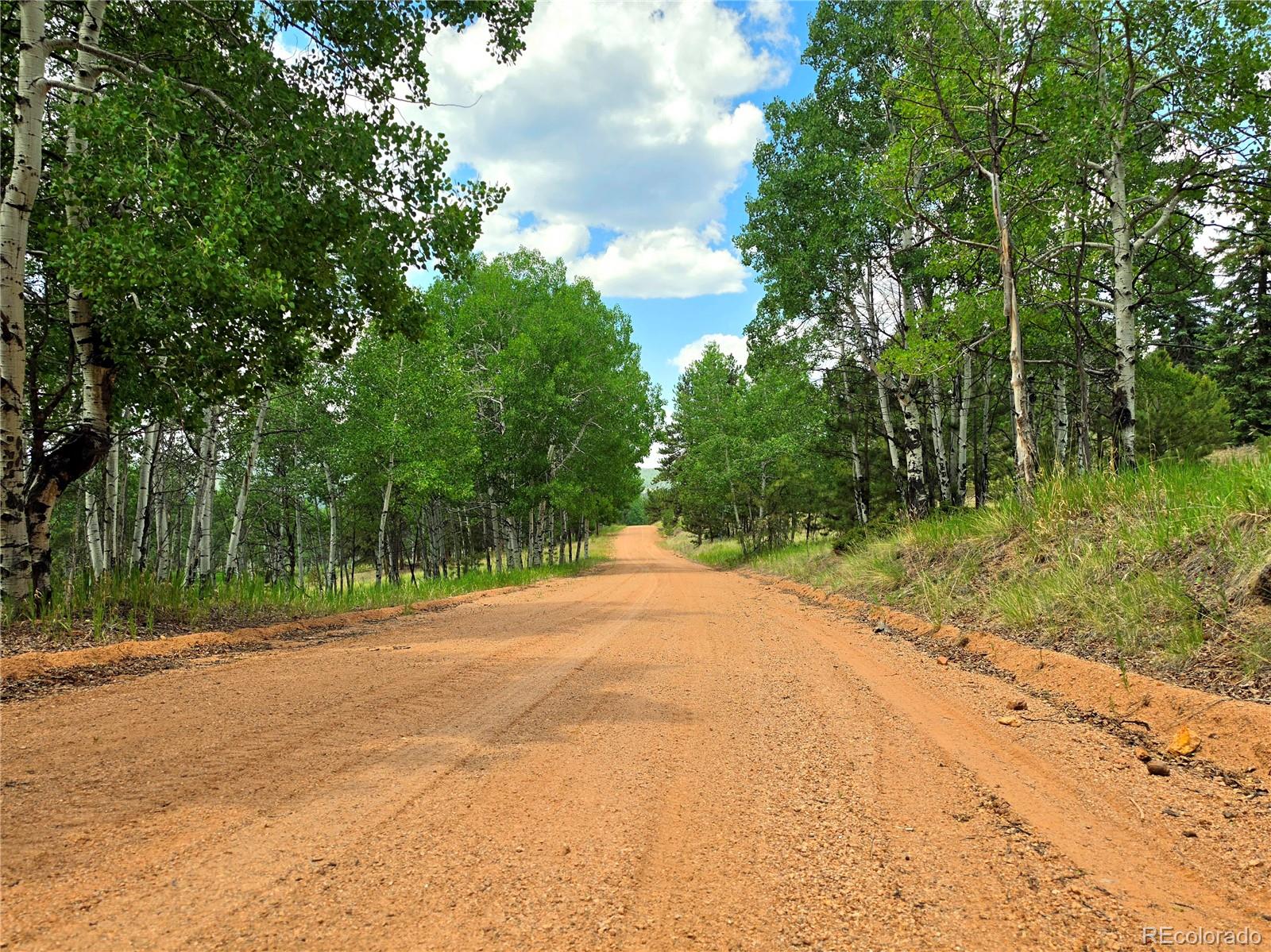 584 Sourdough Road