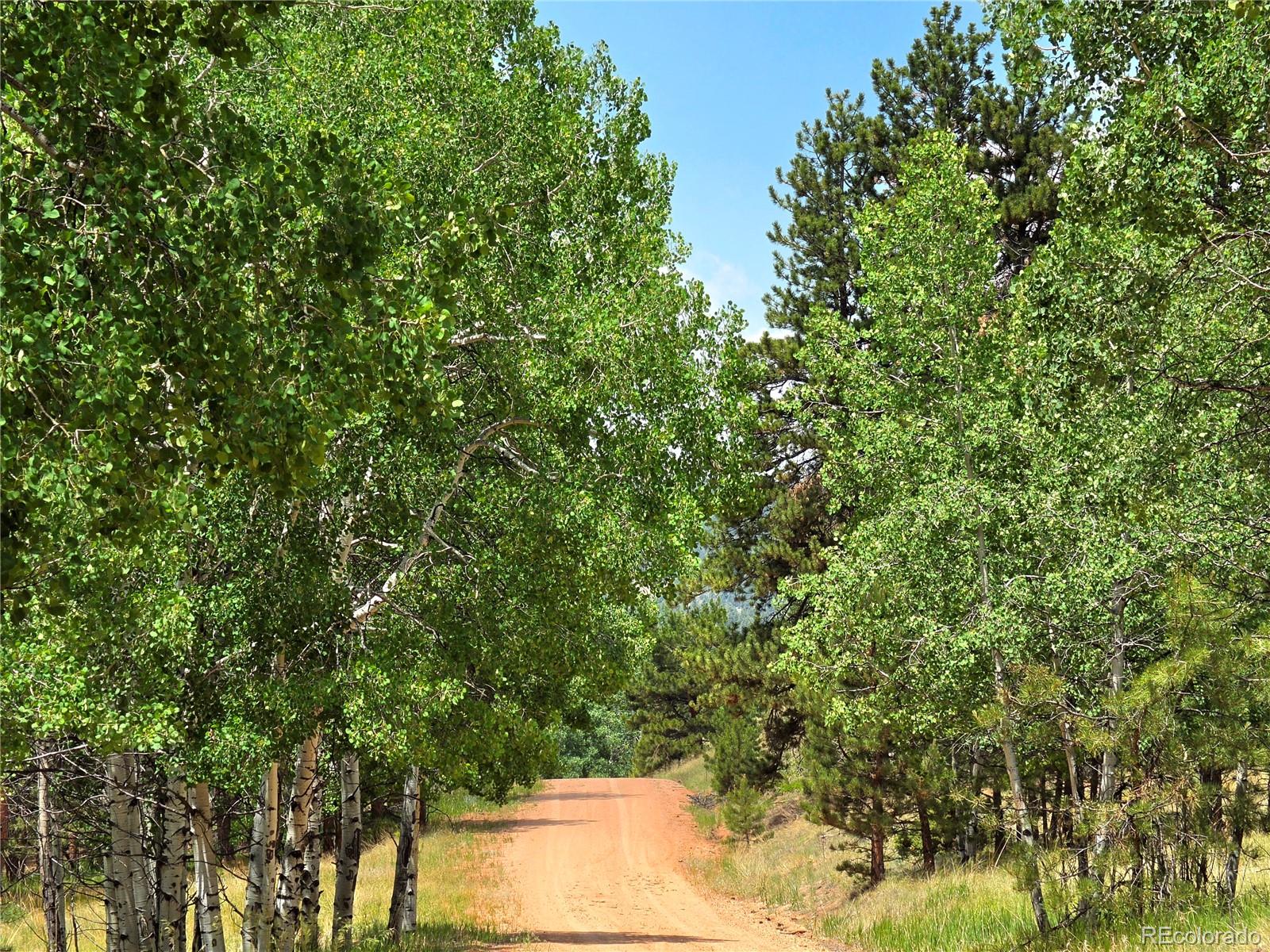 584 Sourdough Road