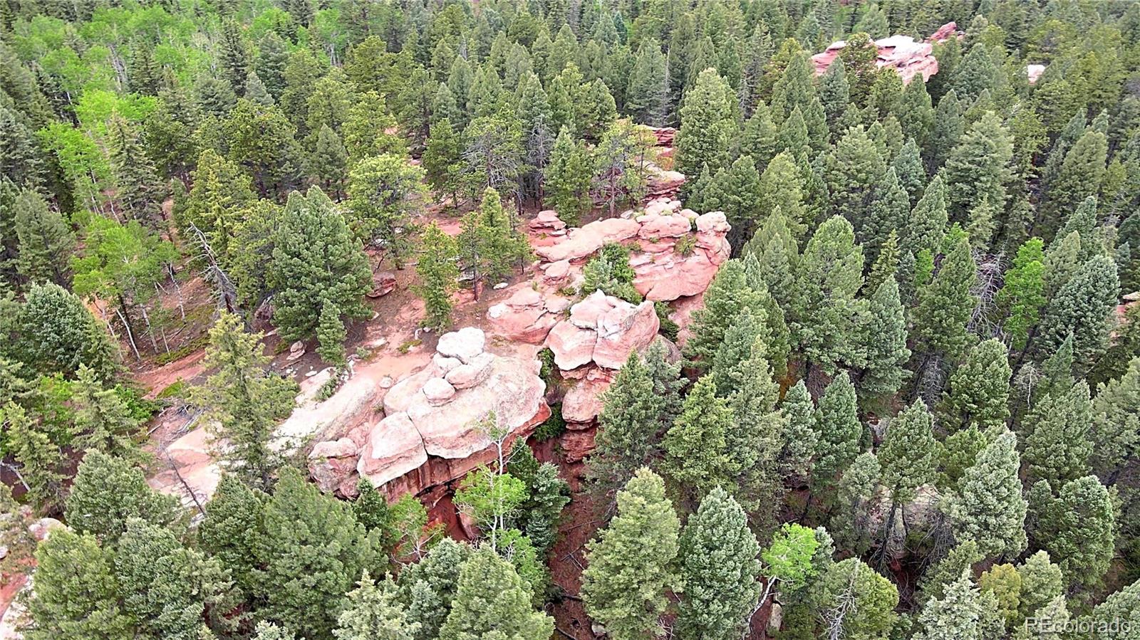 584 Sourdough Road